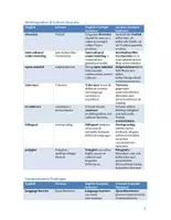 Vorschau - Merkblätter - English as Lingua Franca - Topic Vocabulary | Language Support | Scaffolds - Seite 2