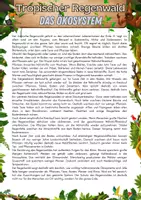 Vorschau - Arbeitsblätter - Materialpaket - Tropischer Regenwald - Seite 1