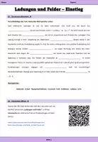Vorschau - Arbeitsblätter - Ladungen und elektrische Felder – PhET-Arbeitsblatt Elektrostatik mit Lösungen | Oberstufe Klasse 11–13 - Seite 2