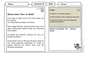 Vorschau - Arbeitsblätter - Wald Klasse 2 | Lesetexte & Sachtexte | Zusammenhänge verstehen | differenziert mit Lösungen - Seite 2