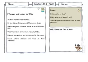 Vorschau - Arbeitsblätter - Wald Klasse 2 | Lesetexte & Sachtexte | Zusammenhänge verstehen | differenziert mit Lösungen - Seite 3