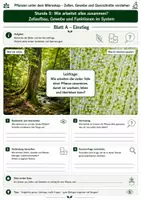 Vorschau - Unterrichtsreihen - Wie arbeitet alles zusammen? – Zellaufbau, Gewebe und Funktionen im System 3 Arbeitsblätter mit Lösung und S/W-Version - Seite 1