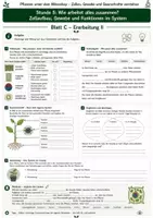 Vorschau - Unterrichtsreihen - Wie arbeitet alles zusammen? – Zellaufbau, Gewebe und Funktionen im System 3 Arbeitsblätter mit Lösung und S/W-Version - Seite 3