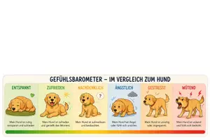 Vorschau - Arbeitsblätter - Emotionen Mensch & Hund - Seite 3