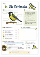 Vorschau - Arbeitsblätter - heimische Vögel: Steckbrief und Aufgaben - Seite 1
