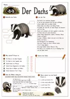 Vorschau - Arbeitsblätter - heimische Waldtiere - Steckbrief und Aufgaben - Seite 3