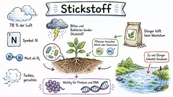 Vorschau - Arbeitsblätter - Lernposter + Arbeitsblätter zum Thema "Stickstoff" + Lösung & MP3 + Mindmap + Infografik - Seite 2