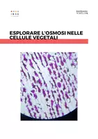 anteprima - Esperimenti - Esplorare l'osmosi nelle cellule vegetali - Pagina di copertina