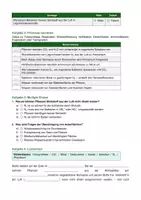 Vorschau - Arbeitsblätter - Stoffkreisläufe – Kohlenstoff- und Stickstoffkreislauf - Seite 3