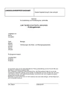 Vorschau - Stundenentwürfe - Verletzungen des Stütz- und Bewegungsapparats, Komplette Lehrprobe/Unterrichtsbesuch - Seite 1