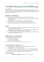 Vorschau - Stundenentwürfe - Die Wahrheit hinter den Schlagzeilen - Breakout: Medien & Journalismus – Escape Room Deutsch (Klasse 9/10) - Seite 2