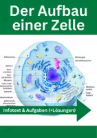 Vorschau - Arbeitsblätter - Zellbiologie – Aufbau, Energie & Transport - Seite 1