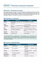 Vorschau - Arbeitsblätter - Zellbiologie – Aufbau, Energie & Transport - Seite 2