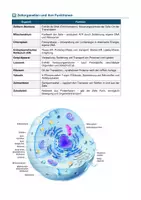 Vorschau - Arbeitsblätter - Zellbiologie – Aufbau, Energie & Transport - Seite 3
