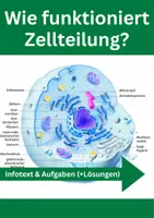 Vorschau - Arbeitsblätter - Zellteilung – Mitose, Meiose, Zellzyklus - Deckblatt