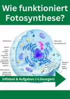Vorschau - Arbeitsblätter - Fotosynthese – Licht- und Dunkelreaktion, Einflussfaktoren - Deckblatt