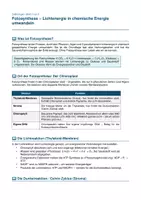 Vorschau - Arbeitsblätter - Fotosynthese – Licht- und Dunkelreaktion, Einflussfaktoren - Seite 1