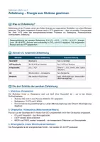 Vorschau - Arbeitsblätter - Zellatmung – Glykolyse, Citratzyklus, ATP - Seite 1