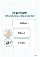 Vorschau - Präsentationen/Tafelbilder - REGENWURM Tafelmaterial - Deckblatt