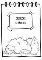 Vorschau - Arbeitsblätter - Die Hecke - Sträucher - Steckbriefe - Seite 1