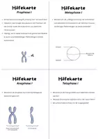 Vorschau - Stundenentwürfe - B_EXAMEN Bio - Seite 3