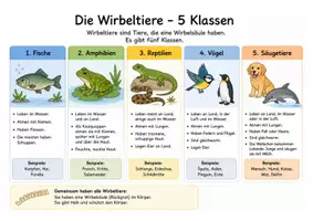 Vorschau - Arbeitsblätter - Wirbeltiere - Übersicht über die Wirbeltierklassen - Seite 3