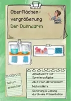 Vorschau - Arbeitsblätter - Oberflächenvergrößerung Dünndarm Versuch - Deckblatt