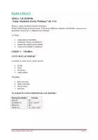 zapowiedź - KARTA PRACY - liczebnik - kl. 4-6 - teoria + klucz - strona 1