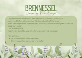 Vorschau - Merkblätter - Kräutergeschichten - Seite 2