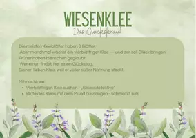 Vorschau - Merkblätter - Kräutergeschichten - Seite 3
