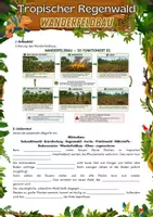 Vorschau - Arbeitsblätter - Tropischer Regenwald - Wanderfeldbau - Seite 1