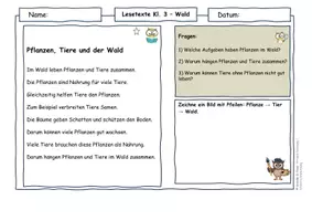 Vorschau - Arbeitsblätter - Wald Klasse 3 | Lesetexte & Sachtexte | Ursache-Wirkung & System verstehen | differenziert mit Lösungen - Seite 3