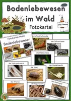 Vorschau - Merkblätter - Bodenlebewesen im Wald, Fotokartei, Bildkarten - Deckblatt