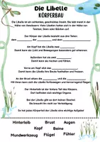 Vorschau - Arbeitsblätter - Körperbau der Libelle – Arbeitsblätter | Grundschule - Seite 1