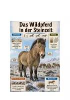 Vorschau - Unterrichtsreihen - Sachunterricht Klasse 3/4 Wildpferd in der Steinzeit - Seite 1