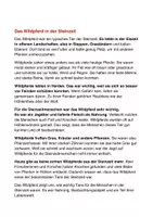 Vorschau - Unterrichtsreihen - Sachunterricht Klasse 3/4 Wildpferd in der Steinzeit - Seite 2
