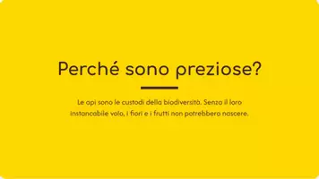 anteprima - Materiale interattivo - lavoretto sule api - Pagina 2