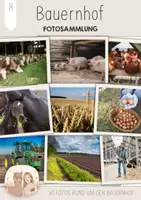 Vorschau - Spiele - Bauernhof DaZ Bildkarten Fotosammlung | Bauernhof Klasse 1 | Bauernhof Tiere | Bauernhof Deutsch | Schreibanlass, Sprachförderung, Vorkurs Deutsch, Vorschule - Deckblatt