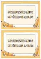 Vorschau - Arbeitsblätter - Natürliche Zahlen Stationentraining - Seite 2