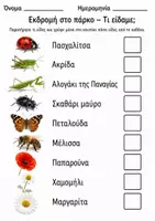 Προεπισκόπηση - Φύλλα εργασίας - έντομα φύλλο εργασίας - Εξώφυλλο