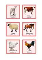Vista previa - Unidades / Secuencias / Situaciones de Aprendizaje - ANIMALES EN MAPUDUNGÜN - página 2