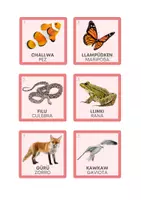 Vista previa - Unidades / Secuencias / Situaciones de Aprendizaje - ANIMALES EN MAPUDUNGÜN - página 3