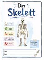 Vorschau - Arbeitsblätter - Das Skelett - Sachtexte mit Fragen und Lösungen - Deckblatt