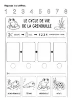 Aperçu - Feuilles d'exercices - Le cycle de vie de la grenouille (maternelle, cycle 2, inclusion) - Page 1