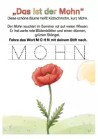 Vorschau - Arbeitsblätter - Alles rund um den Mohn (Klatschmohn) – Wissens- & Mitmachheft (Kita - 1. Klasse) - Seite 1