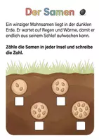 Vorschau - Arbeitsblätter - Alles rund um den Mohn (Klatschmohn) – Wissens- & Mitmachheft (Kita - 1. Klasse) - Seite 2