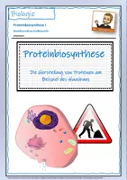 Vorschau - Arbeitsblätter - Einführung Proteinbiosynthese - Modellvorstellung Großbaustelle - Deckblatt