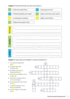 Vorschau - Arbeitsblätter - Die Merkmale und den Aufbau einer Fabel kennenlernen (dreifach differenziert) - Seite 2