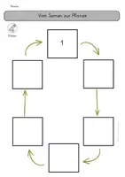 Vorschau - Arbeitsblätter - Arbeitsblatt Vom Samen zur Pflanze - Bohne - Seite 2