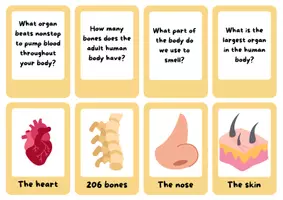 Vista previa - Juegos / Gamificación - Libro y pack de actividades y juegos montessori para aprender vocabulario de las partes del cuerpo en Inglés - página 3